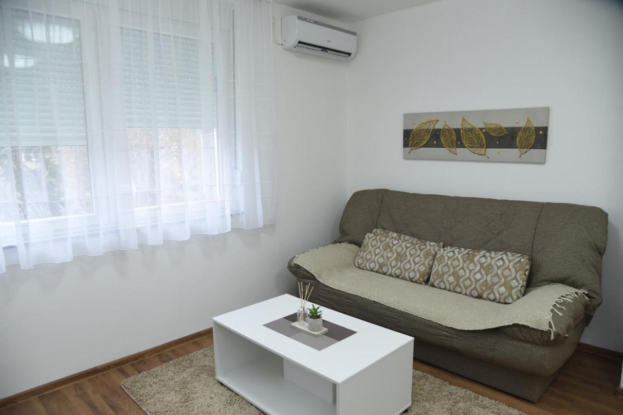 Apartmani Sofronic Loznica 1 Εξωτερικό φωτογραφία