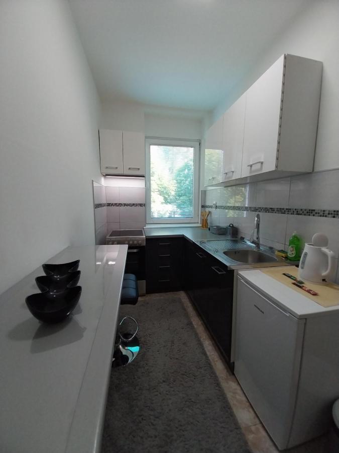 Apartmani Sofronic Loznica 1 Εξωτερικό φωτογραφία