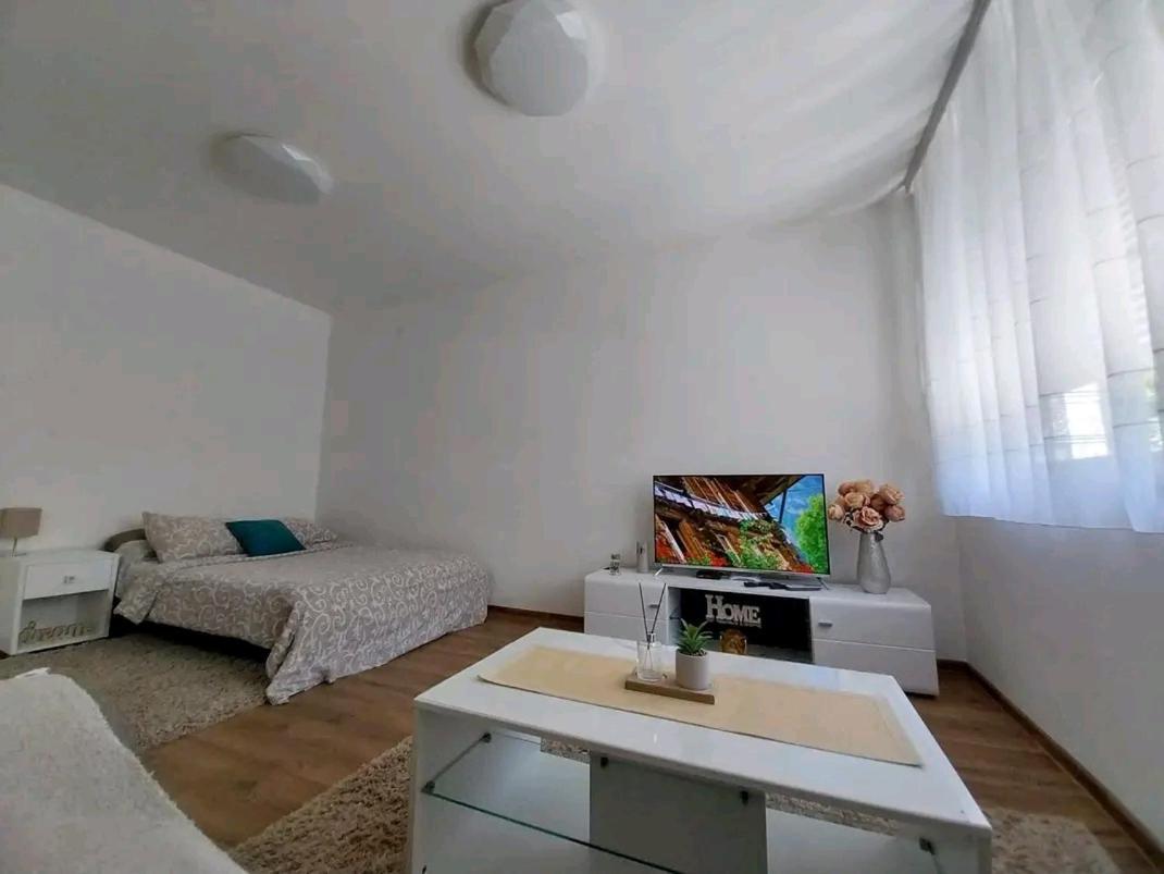 Apartmani Sofronic Loznica 1 Εξωτερικό φωτογραφία
